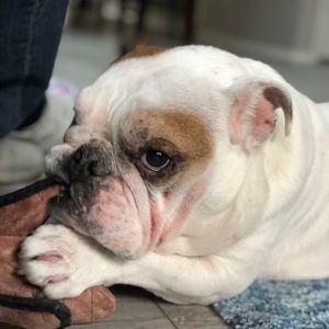 Meet your Posher, Karen